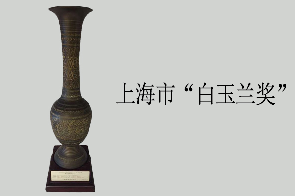 上海市“白玉蘭獎”